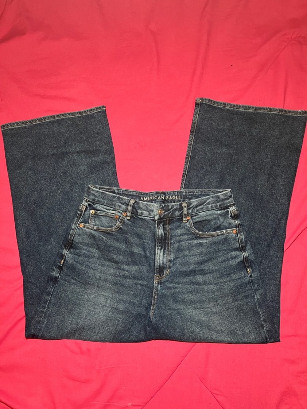 American Eagle “Curvy Super High-Rise Baggy Wide Leg” Women’s Size 12 Short